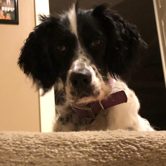 Meet your Posher, Megan - Picture 1 of 1